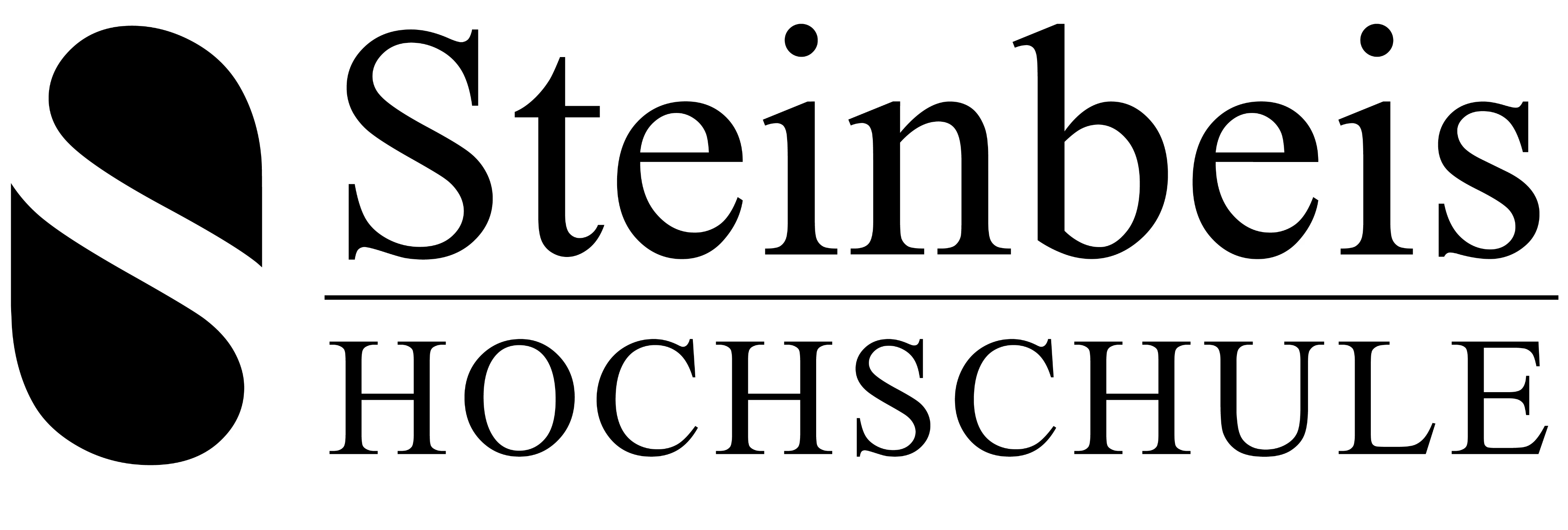 steinbeis hochschule