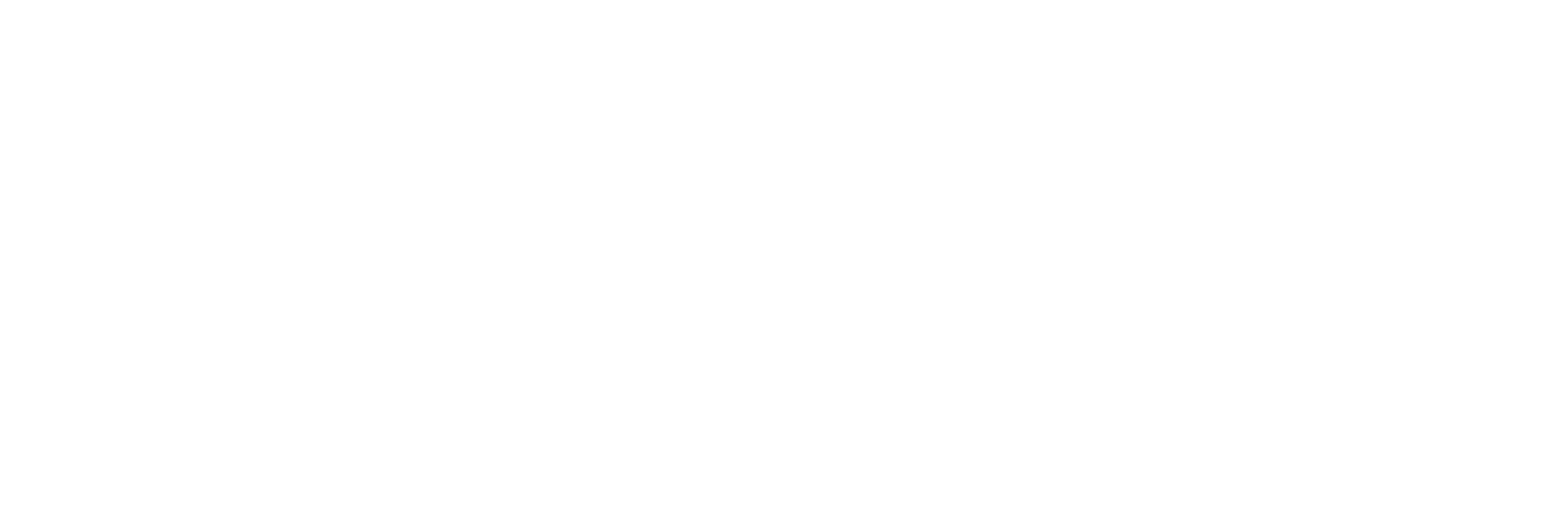 steinbeis hochschule logo white