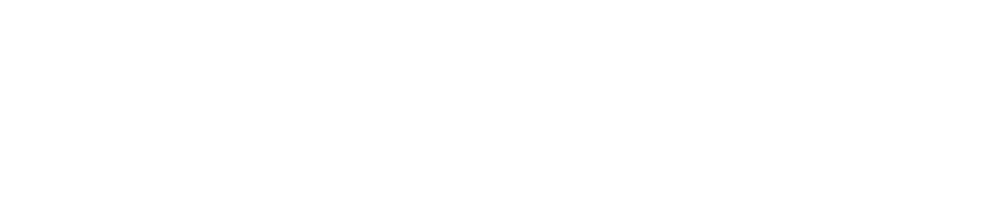 karlshochschule logo white